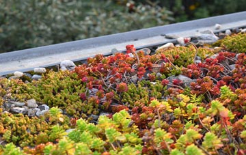 the cost of St Michael South Elmham green roof installation