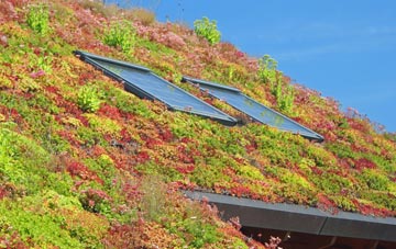 St Michael South Elmham living roof systems