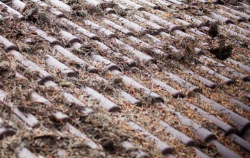 St Michael South Elmham roof cleaning companies