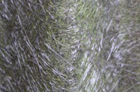 St Michael South Elmham fibreglass roof work